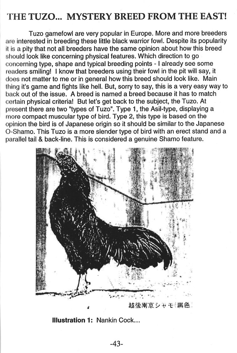 The Tuzo - mystery breed from the east (1999) by Willem van Ballekom